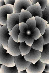 PREMIUM Rug Design 11301