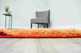 4D SHAGGY Rug Design 6483