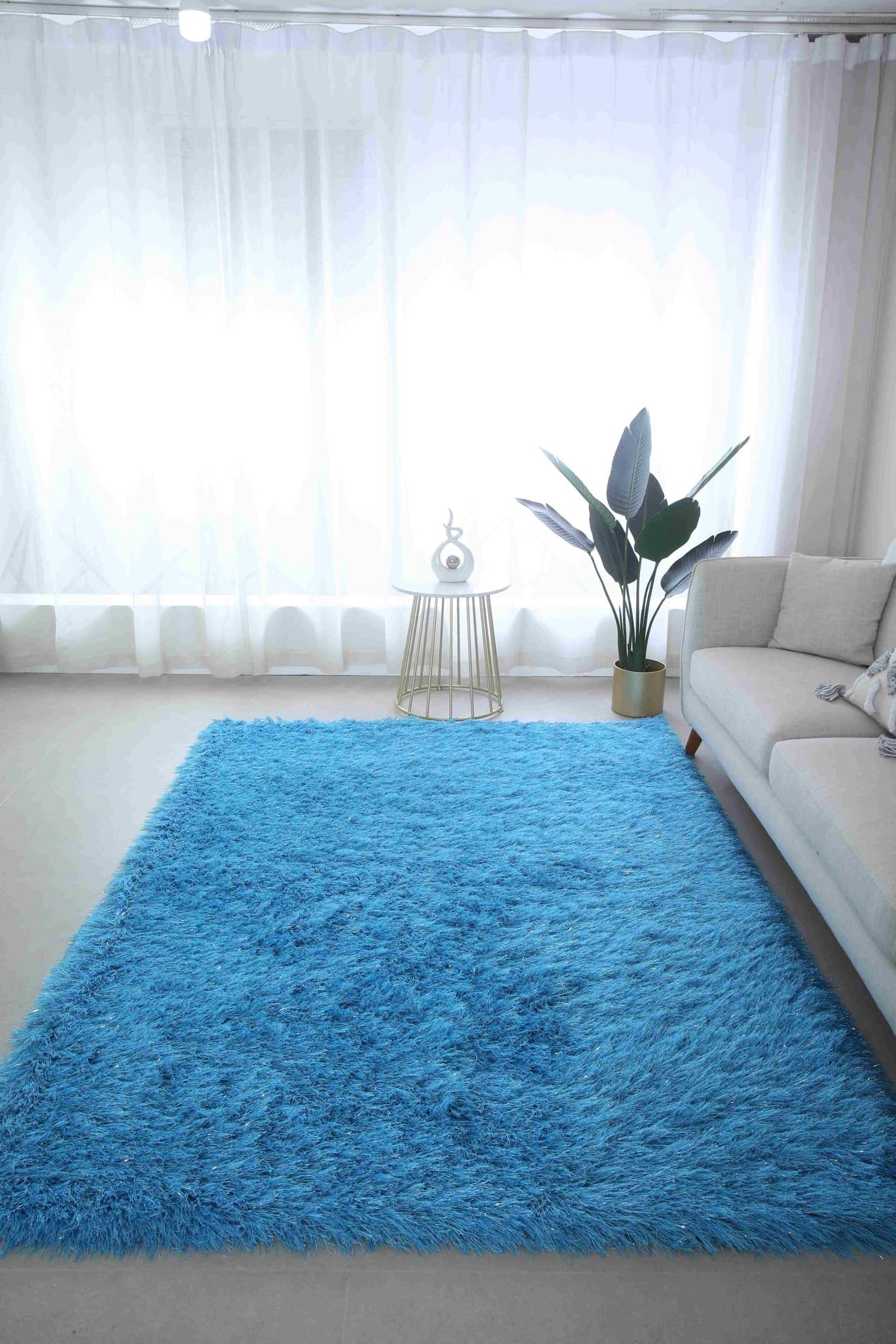 MEILIN-S SHAGGY Rug