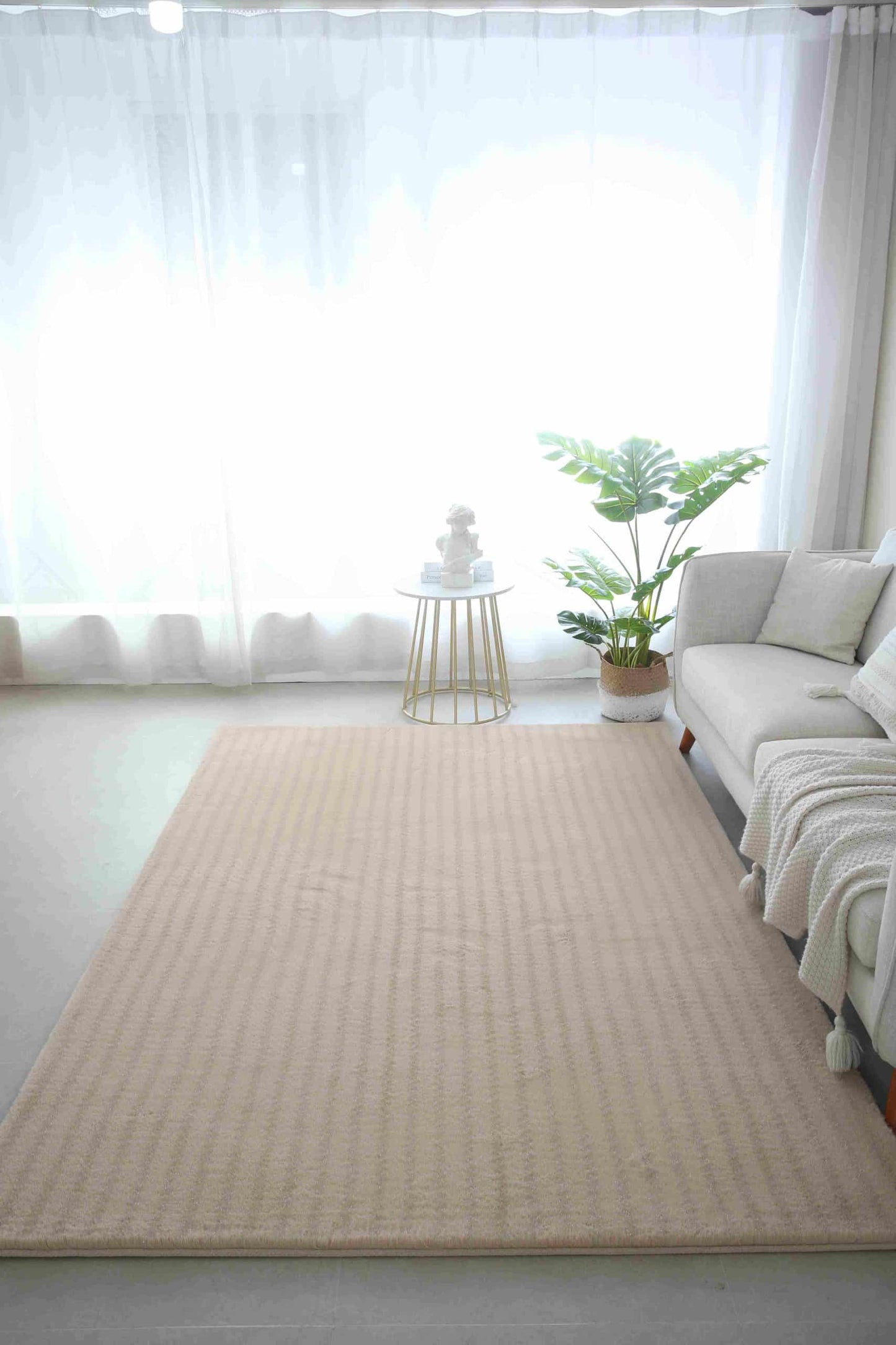SAVANNAH SHAGGY Rug