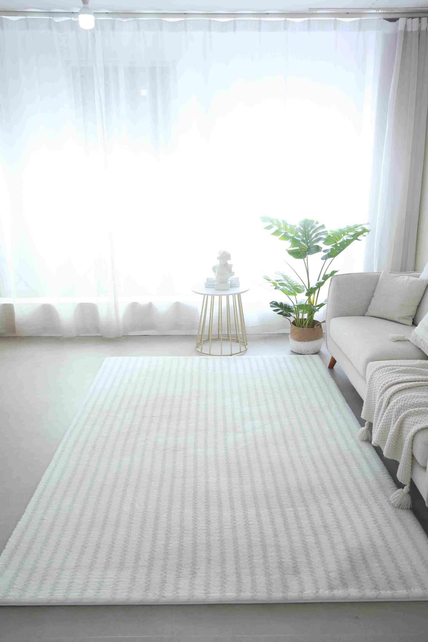 SAVANNAH SHAGGY Rug